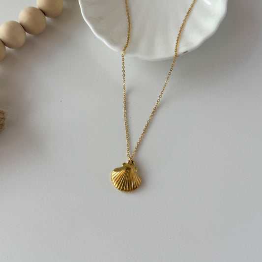 Queen Conch Chain